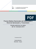 V19-CIER Informe Precios MEM 2012