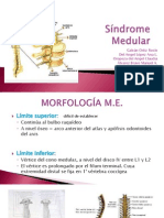 sindromesmedulares9dcomp-101124215101-phpapp02