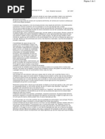 Os Quatro Elementos e a Psicologia Do Ser Humano (Parte 4)