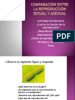 Comparación Entre La Reproducción Sexual y Asexual