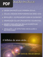 Aula sobre evolução das células