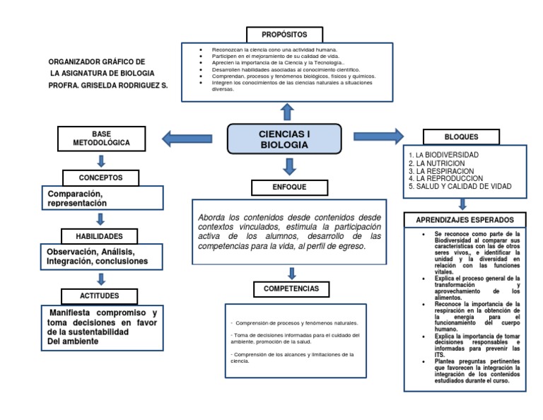 ORGANIZADOR GRÁFICO biologia.docx