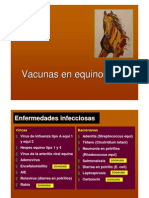 Equino Vacuna