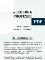 ALEGEREA-PROFESIEI-educatie Tehnologica