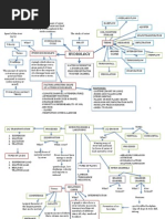 Mind Map Revision Hydrology