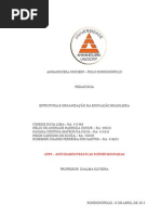 Estrutura e Organizacao