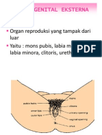 fungsi organ reproduksi.pptx