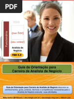 Guia de Orientação para Carreira de Analista de Negócio v1