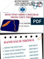 NHÓM 8 - ĐỊNH TÍNH VIBRIO CHOLERAE TRONG THỰC PHẨM