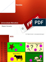 Matriz - BCG-13 PDF