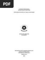 Download Pengaruh Intensitas Cahaya Matahari by jajangnurzaman_31 SN143252690 doc pdf