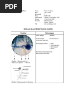 Download Laporan Morfologi Jamur Ganis by Ganis Andriani SN143267873 doc pdf