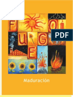 03 - Fuego, Maduracion