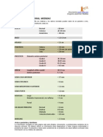 136844326 Ecografia Abdominal Medidas