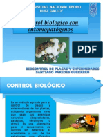 Control Biologico Entomopatogenos