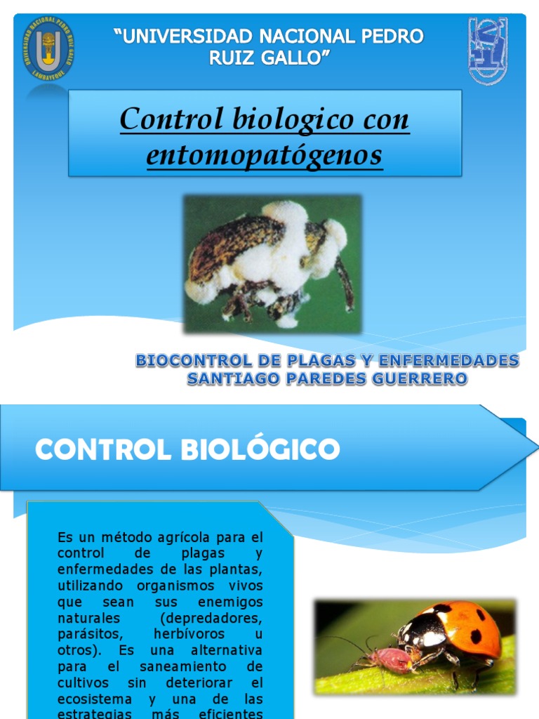 Control Biologico Entomopatogenos | PDF | Control biológico de plagas ...