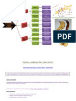 Alteraciones de Los Alimentos