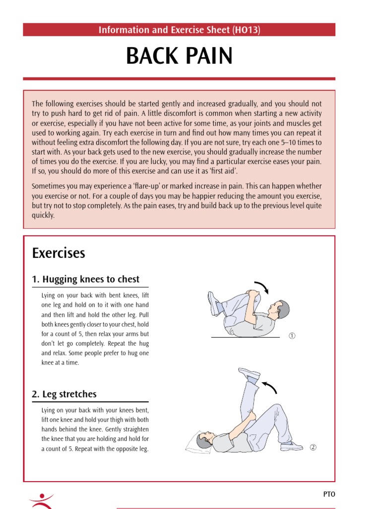 Back Pain Exercise Guide (HO13) | PDF | Human Anatomy | Musculoskeletal ...