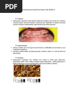 Download Dentinogenezis Imperfecta Tip 2 by Dobre Cristina SN143290158 doc pdf
