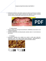 Dentinogenezis Imperfecta Tip 2