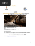 Invitation Sudan Action Group