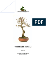 Taller Bonsai Jardin Kyoto