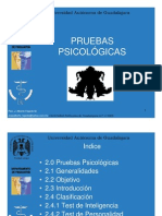 2_Pruebas_Psicologicas.pdf