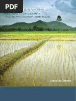 Vision and Voice Refining Your Vision in Adobe Photoshop Lightroom PDF