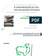 20090331074053 Metodos de Sincronizacao Ruminantes Em Extensivo-Dr. Pedro Pinho