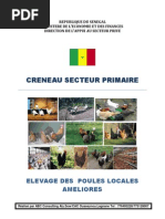 Elevage et Amélioration poules locales