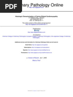 Download Histologic Characterization of Canine Dilated Cardiomyopathy by Juan C Vasquez SN143356893 doc pdf