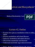 Sugar Catabolism and Biosynthesis: Medical Biochemistry, Lecture 42