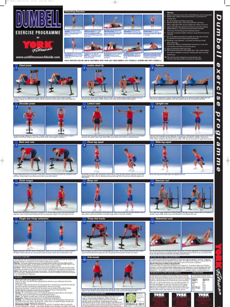 Comprehensive Dumbbell Exercise Guide | PDF | Weight Training ...