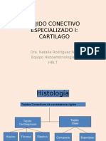 Histologia Clase 8 Cartilago
