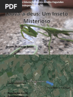 Apresentação louva-a-deus