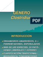 Clostridium 06