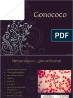 gonococo-120228121159-phpapp01