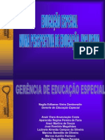 Política - Educação Especial 2007