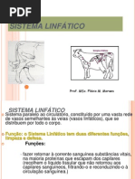SISTEMA LINFÁTICO