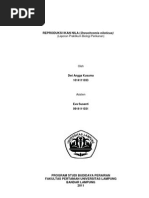 Download ASPEK  REPRODUKSI IKAN NILA  by dwianggakusuma SN143398142 doc pdf