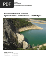 Hidroelectricidade_2009