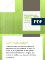 Contaminacion Ambiental, Efectos e Indicadores de Calidad