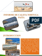 Informe de Caleta Tortuga-Paita