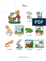 Pets Vocabulary