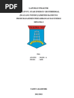 Download Laporan Praktik Wayang Windu by Afandi SN143456042 doc pdf