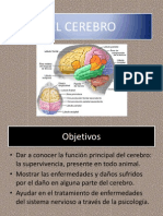 El Cerebro