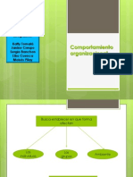 Comportamiento organizacional11.pptx