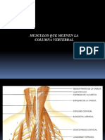 Musculos Que Mueven La Columna Vertebral