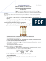 Leyre-tema 3-lípidos.pdf