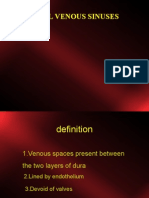Dural Venous Sinuses